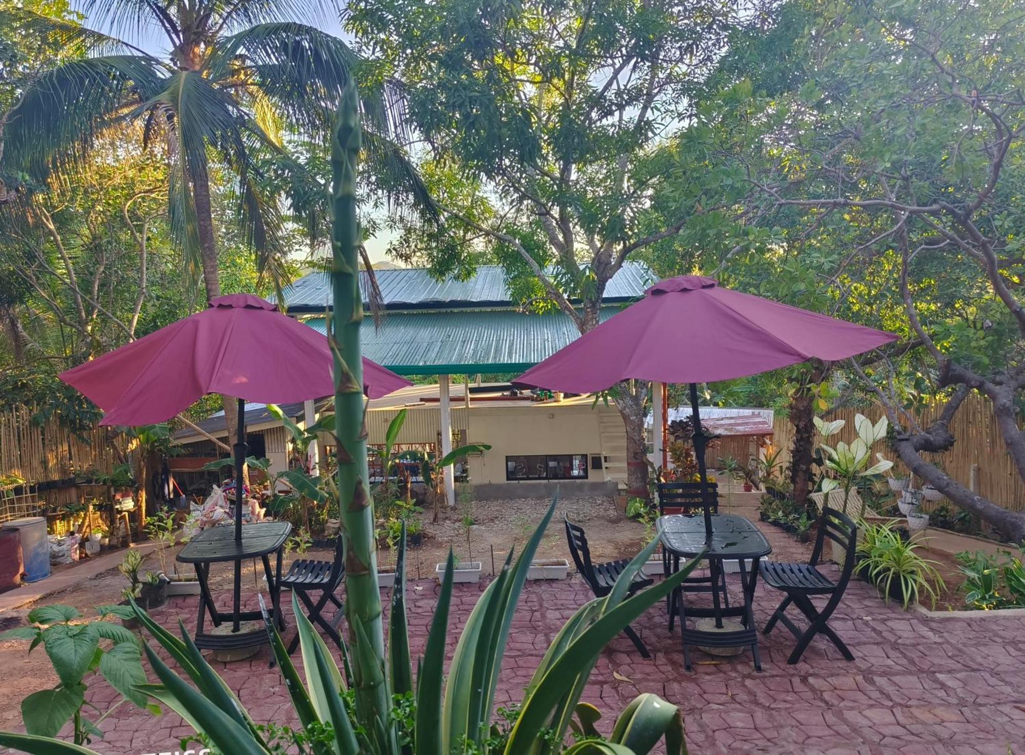 Ani Marie Guest House Coron Dış mekan fotoğraf